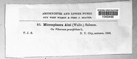 Image Associated With the Occurence